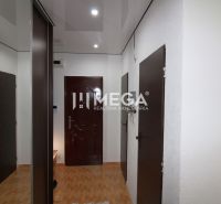 Entrance hallway in a 3-room apartment with a wooden decor floor and dark doors.