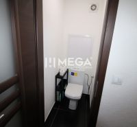 A small toilet in a 3-room apartment with dark doors and black tiles.