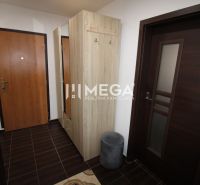 A hallway with a coat closet and a wooden decor floor in a 3-room apartment.