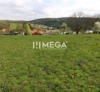 Greenery on residential plots on Brestovska Street in Humenne with a view of the hills.