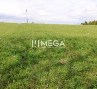 Greenery on the residential property on Brestovska Street in Humenne.