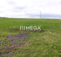 Land - residential on Brestovska Street in Humenne, green meadow with flowers and power lines.