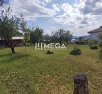 A garden at a family house in the Poľana housing estate in Humenné with fruit trees and a lawn.