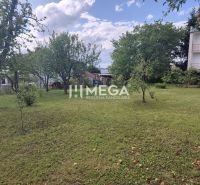 A garden at a family house in the Poľana Housing Estate in Humenné with fruit trees.
