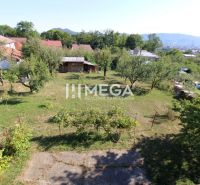 A garden at a family house in the Poľana Housing Estate in Humenné with a lawn and fruit trees.