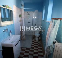 A bathroom in a family house with blue tiles, a shower, and a sink.