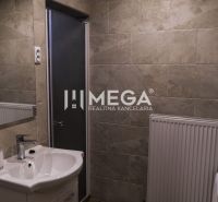 A bathroom with a shower, sink, and radiator, ideal for hotels and guesthouses.