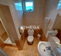 Bathroom with toilet, shower, sink, and hairdryer in hotels and guesthouses.