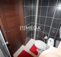 Bathroom in a holiday apartment with a shower, toilet, and black tiles.
