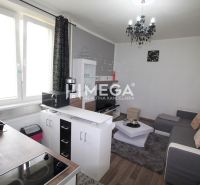 Living room with kitchen in a holiday apartment, wooden decor flooring, gray sofa.