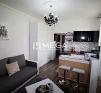 Recreational apartment kitchen with a counter, wooden decor flooring, and a gray sofa.