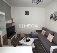 Living room of the Holiday Apartment with a gray sofa, TV, and floor with a wooden decor.