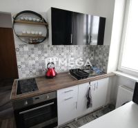 Recreational apartment kitchen with black cabinets, cooktop, and decorative tiles.