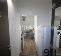 Recreational apartment with wood-decor flooring, kitchenette, and living area.