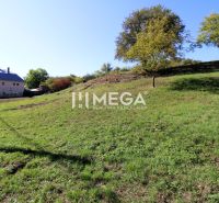 Green sloping residential land in Vyšné Ladičkovce with a view of the house and trees.