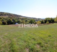 Plots - housing in the village of Vyšné Ladičkovce on Vyšné Ladičkovce street, surrounded by nature.