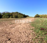A plot for residential use near the forest in Vyšné Ladičkovce, surrounded by nature and blue skies.