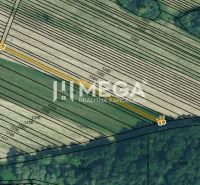 Cadastral map of residential plots in Jasenov surrounded by forest.