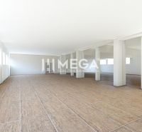 Spacious commercial spaces with wood-patterned flooring and white walls.