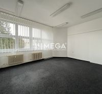 Offices with large windows and dark flooring with decor on Stropkovska Main Street.