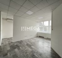 Offices with wood-patterned flooring, light-colored walls, and large windows.
