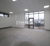 Interior of commercial spaces with large windows and frosted ceiling lights.