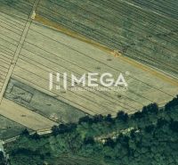 Agricultural and forest land in Jasenov on Dlhá, arable land and greenery.