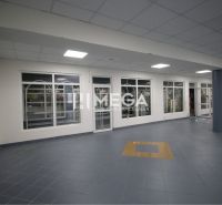 Commercial premises with glass doors and blue tiles, floor with decor.