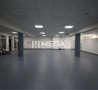 Spacious commercial spaces with blue tiles and columns offer various usage possibilities.