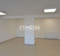 Commercial spaces with white walls and light flooring with a wood decor.