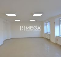 Bright commercial spaces with large windows, tiles, and artificial lighting.