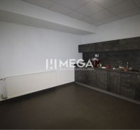 Offices with a kitchenette and a radiator, flooring with decor in the offices.