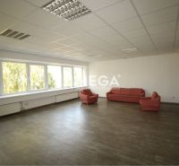 Spacious offices with a sofa set and wood-patterned flooring.