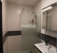 Bathroom with a walk-in shower and wooden decor in a 2-room apartment.
