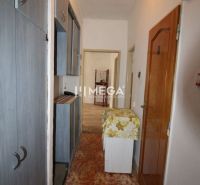 A hallway in a 2-room apartment with storage spaces, carpeted floor.