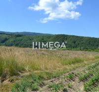 A plot in Zemplínske Hámre, ideal for living, with a view of the hills.