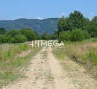 A country road surrounded by greenery in Zemplínske Hámre, suitable for plots - housing.