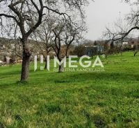 A view of the green meadow with trees and a view of Humenné from Brestovská Street.