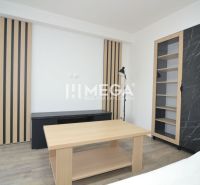 A living room in a three-room apartment with shelves and a wooden decor floor.