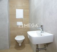 A toilet with a simple sink and walls in wood decor in a 3-room apartment.