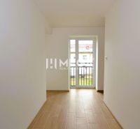 A narrow space with a wooden decor floor in a 2-room apartment, light walls.