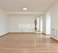 A bright room with a wood-decor floor in a two-room apartment.