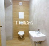 A bathroom in a 2-room apartment with a toilet, wooden decor flooring, and a sink.
