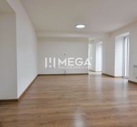 A spacious room with light walls and a floor with a wooden decor in a 2-room apartment.