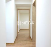 A hallway in a 2-room apartment with a wooden decor floor and white walls.