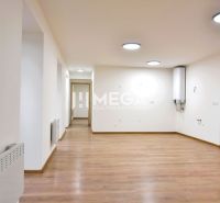 2-room apartment with wood-patterned flooring and a light interior.