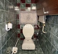 A bathroom with tiles in a family house with wall storage.