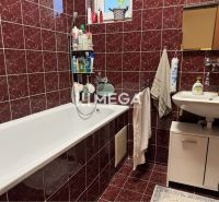 A bathroom in a family house with red tiles, a bathtub, and a sink with a storage cabinet.