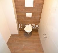 A toilet with a wooden decor floor in a 3-room apartment.
