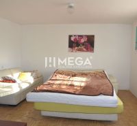 A room in a family house with a sofa, bed, and a floor with a wooden decor.